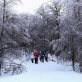 Nieve al Límite