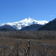 Cerro Tronador e Ventisquero Negro